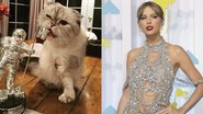 Olivia Benson, Taylor Swift (Foto: Getty Images)