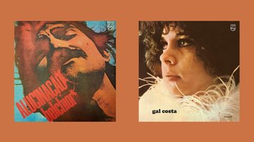 De Alucinação a Tim Maia, confira alguns discos que devem estar na casa de qualquer colecionador do gênero - Créditos: Reprodução/Amazon