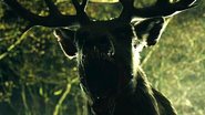 Bambi busca vingança contra assassino da mãe em trailer de terror trash (Foto: Divulgação)
