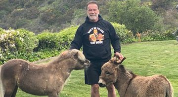 Arnold Schwarzenegger com os burros de estimação (Foto: Reprodução/Twitter)