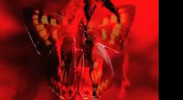 Cena do psicodélico clipe de "The Shock of Lightning", com uma borboleta monocromática saltando da tela - Reprodução