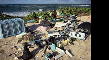 SUZANNE FRAZER/BEACH ENVIRONMENTAL AWARENESS CAMPAIGN HAWAII