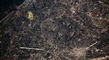 <b>RESTOS MORTAIS</b> Queimada em São Félix do Xingu (PA): cidade é uma das recordistas de incêndios criminosos na Amazônia - RODRIGO BALEIA/LATINCONTENT/GETTY IMAGES