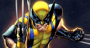 Imagem de Wolverine nas histórias em quadrinho - Divulgação