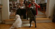 As atrizes Carrie Fisher e Debbie Reynolds em trailer do documentário <i>Bright Lights</i>, da HBO - Reprodução/Vídeo