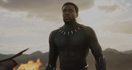 O ator Chadwick Boseman como o Pantera Negra. - Divulgação