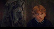 Rupert Grint como Ron Weasley em Harry Potter e a Pedra Filosofal (Foto: Reprodução)
