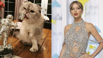 Olivia Benson, Taylor Swift (Foto: Getty Images)