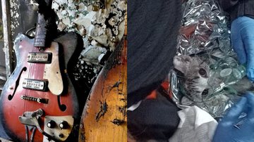 Instrumentos de Alexandre, da banda Gasolines (Foto: Reprodução), Gato do músico sendo socorrido após incêndio (Foto: Reprodução)