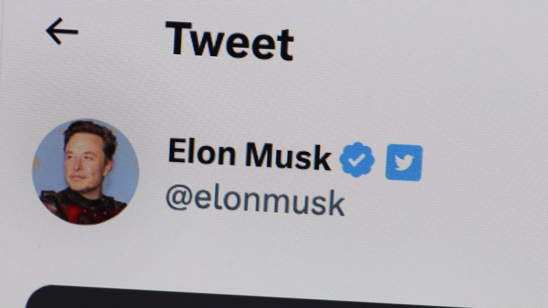 Conta de Elon Musk no Twitter/X (Foto: Scott Olson/Getty Images)