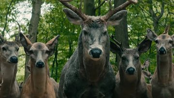 Por que os cervos são assustadores em O Mundo Depois de Nós, da Netflix? (Foto: Divulgação/Netflix)