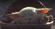 Bebê Yoda (Foto: Reprodução)