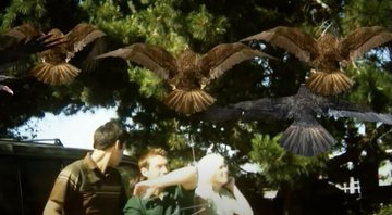 Birdemic: Choque e Terror (Foto:Reprodução)