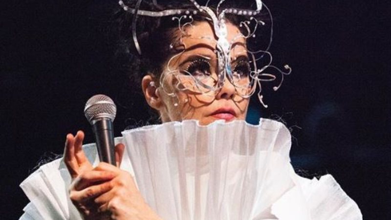 Björk (Foto: Instagram / Reprodução / @santiagraphy)