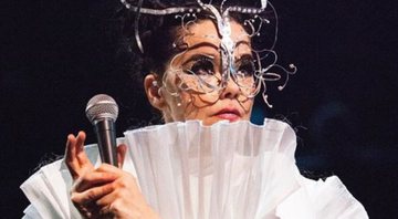 Björk (Foto: Instagram / Reprodução / @santiagraphy)