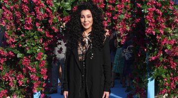 Cher (Foto: Getty Images / Stuart C. Wilson / Correspondente)