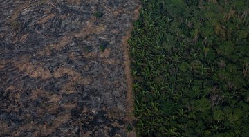 None - Desmatamento da Amazônia (Foto: Victor Moriyama/Getty Images