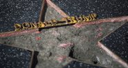 A estrela de Donald Trump na Calçada da Fama foi destruída diversas ao longo dos anos (Foto: David McNew / Getty Images)