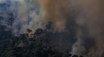 None - Fogo na Amazônia em agosto de 2019 (Foto: Victor Moriyama/Getty Images)