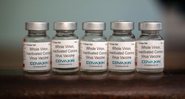Frascos vazios do imunizante Cvaxin (Foto: Tafadzwa Ufumeli/Getty Images)