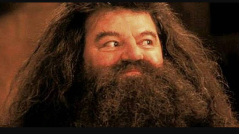 Robbie Coltrane como Hagrid em Harry Potter (Foto: reprodução / Warner)