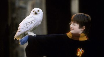 Harry Potter e coruja Edwiges (Foto: Reprodução)