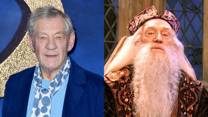 Ian McKellen (Foto: Gareth Cattermole/Getty Images) e Richard Harris como Dumbledore (Foto: Divulgação)