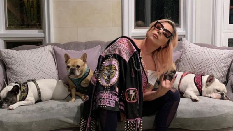 Lady Gaga em casa com seus cachorros (Foto: Reprodução/Instagram)