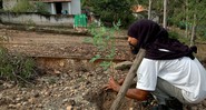 Joás Brandão planta uma muda de árvore próximo a sua casa