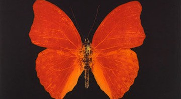 "Butterfly from Memento", de Damien Hirst, é uma das obras que integram a mostra - Divulgação