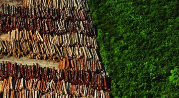 <b>OURO VERDE</b> Um dos pátios de madeira em Santarém, destino da extração
ilegal na Gleba Nova Olinda - GREENPEACE
