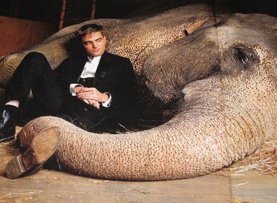 Robert Pattison aparece ao lado da estrela elefanta na primeira imagem de Água para Elefantes