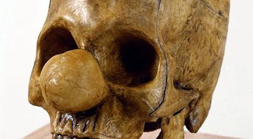 Esqueleto com nariz de palhaço de Vik Muniz integra a mostra <i>Relicário</i> - Divulgação
