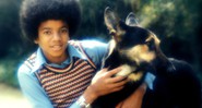 Michael Jackson - galeria juventude