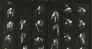 Galeria - Peter Warrack - Página de amostra de Janis Joplin