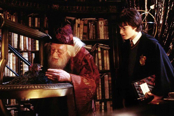  Hogwarts 

Os bruxinhos mirins não começam os estudos em Hogwarts. Segundo Rowling, eles recebem ensinamentos básicos em casa antes de ingressarem na grande escola de magia.
