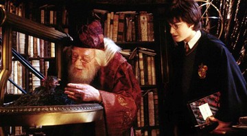  Hogwarts 

Os bruxinhos mirins não começam os estudos em Hogwarts. Segundo Rowling, eles recebem ensinamentos básicos em casa antes de ingressarem na grande escola de magia.
 - Reprodução