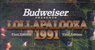 Budweiser Lollapalooza
