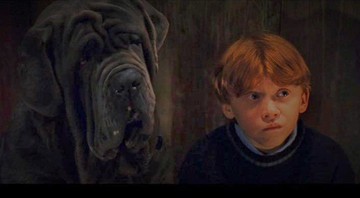 Rupert Grint como Ron Weasley em Harry Potter e a Pedra Filosofal (Foto: Reprodução)