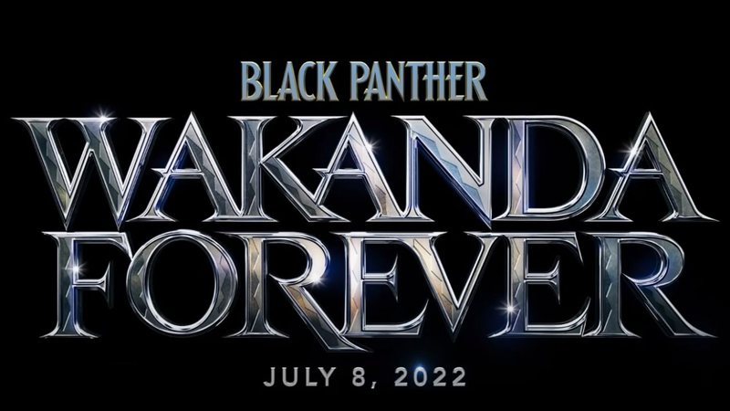 Pantera Negra: Wakanda Forever - elenco, estreia e tudo o que sabemos sobre  filme da Marvel [LISTA] · Rolling Stone