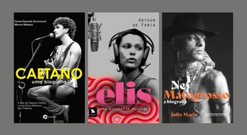 Elis Regina, Ney Matogrosso e outros grandes artistas brasileiros para você conhecer a história por meio de biografias que nos aprofundam em suas histórias - Reprodução/Amazon