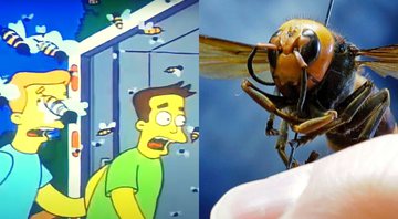 Montagem da cena de Os Simpsons e vespa gigante asiática (Foto 1: Reprodução/YouTube | Foto 2: AP)