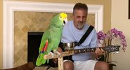 Tico, o papagaio e Frank Maglio (Foto: Reprodução/YouTube)
