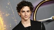Timothee Chalamet (Foto: Jeff Spicer / Getty Images)