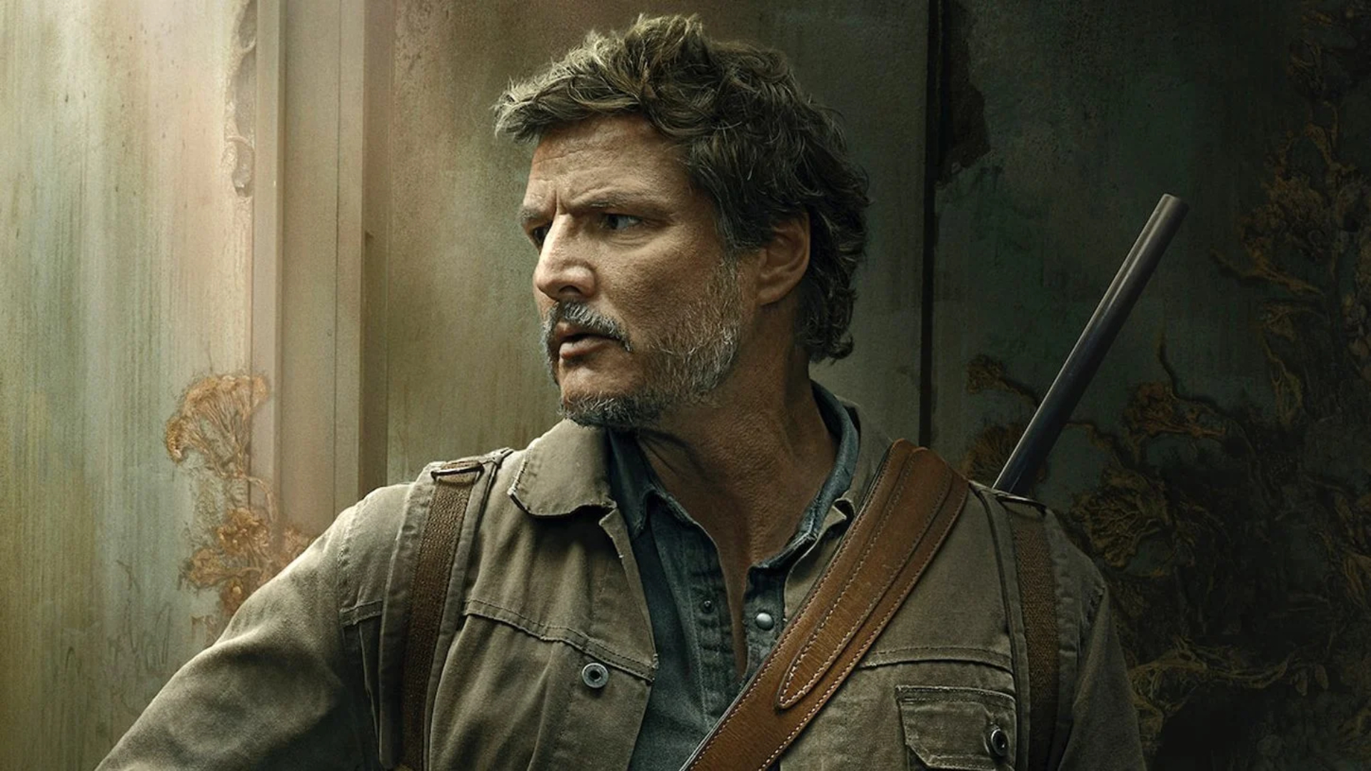 Diretor de The Last of Us defende Pedro Pascal após fala sobre não imitar  o Joel