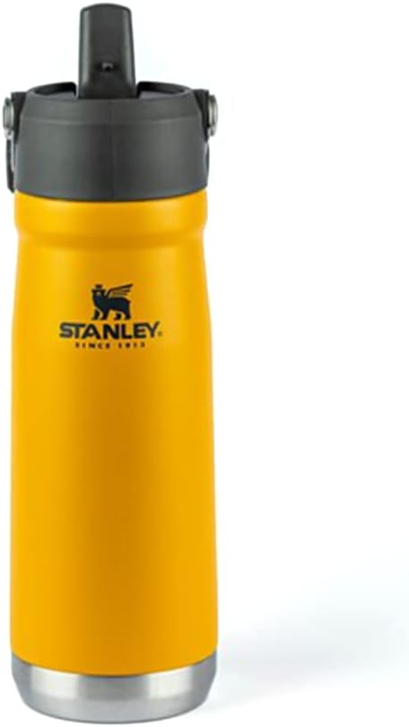 Melhores garrafas e copos Stanley de 2023 - MKT Esportivo