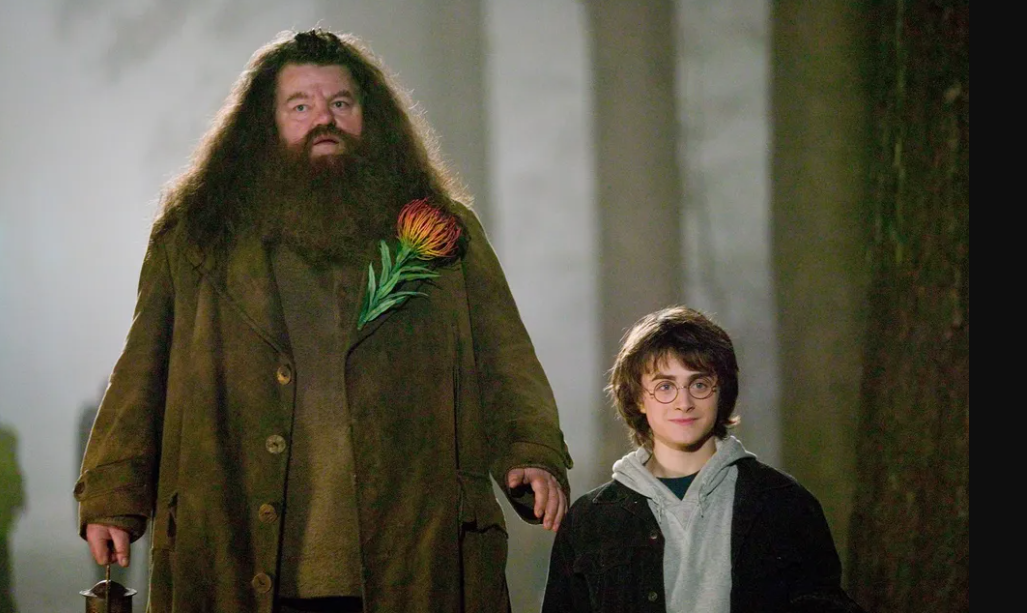 Hagrid (Robbie Coltrane) e Harry Potter (Daniel Radcliffe) em um dos filmes da franquia — Foto: Divulgação