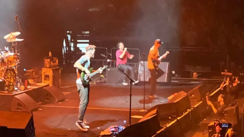 Zack de la Rocha se machuca durante show em Chicago (Reprodução)